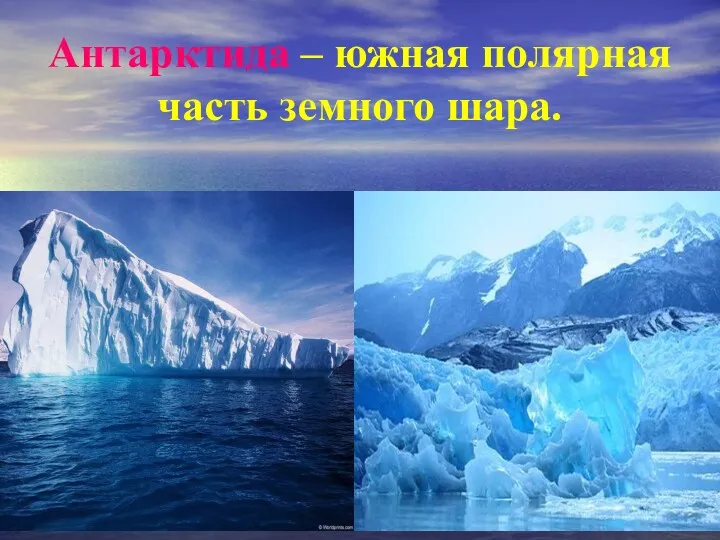 Антарктида – южная полярная часть земного шара.