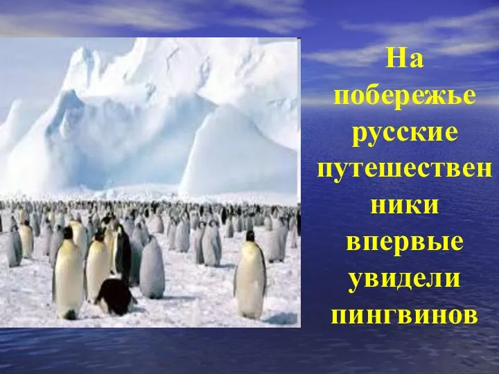 На побережье русские путешественники впервые увидели пингвинов