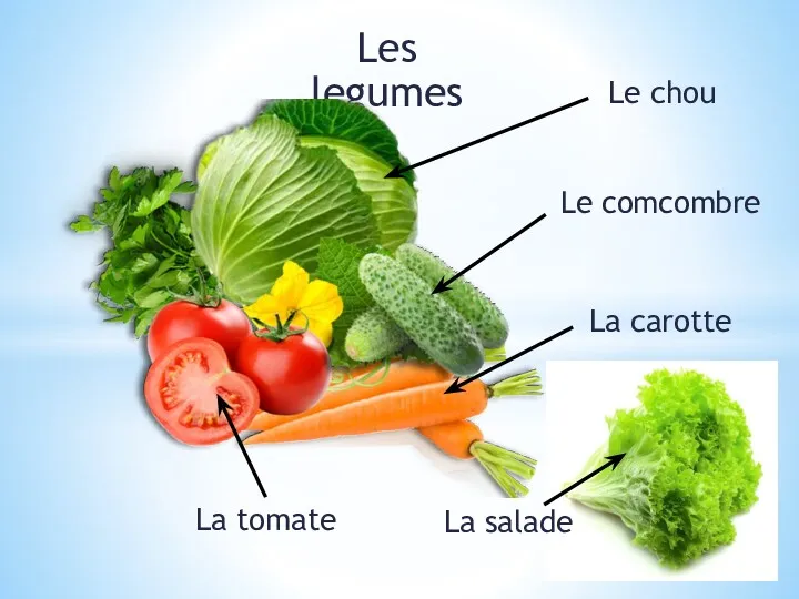 Les legumes Le chou Le comcombre La carotte La tomate La salade