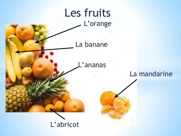 Les fruits L’orange La banane L’ananas L’abricot La mandarine