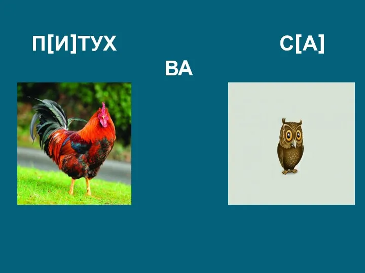 П[И]ТУХ С[А]ВА