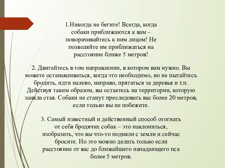 1.Никогда не бегите! Всегда, когда собаки приближаются к вам –