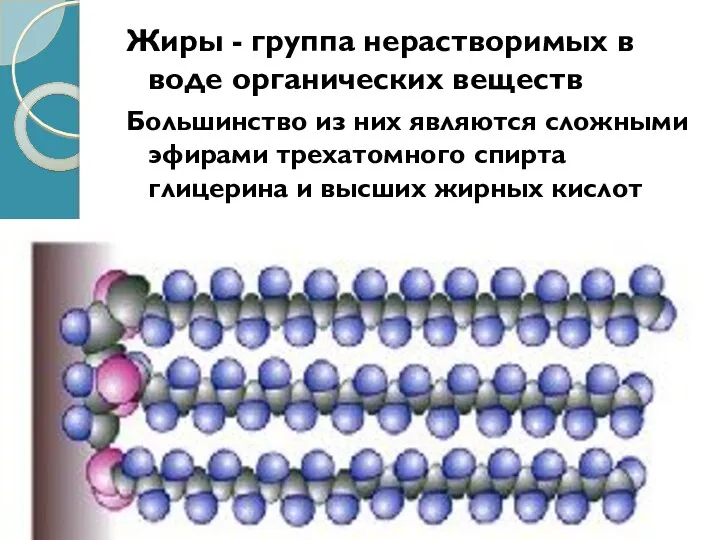 Жиры - группа нерастворимых в воде органических веществ Большинство из