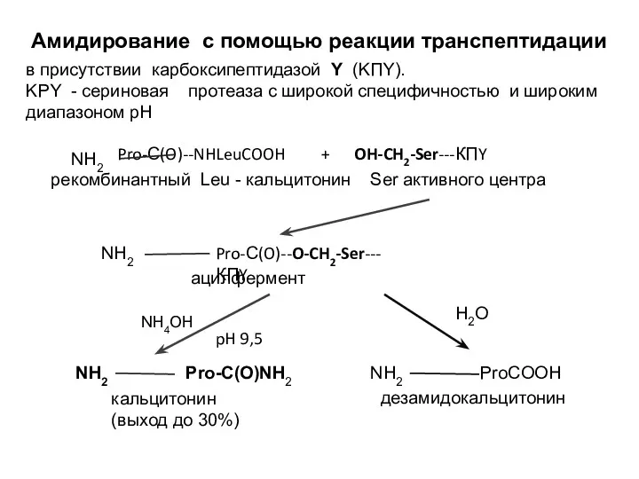 Амидирование с помощью реакции транспептидации в присутствии карбоксипептидазой Y (KПY). KPY - сериновая