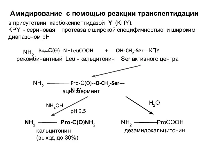 Амидирование с помощью реакции транспептидации в присутствии карбоксипептидазой Y (KПY).