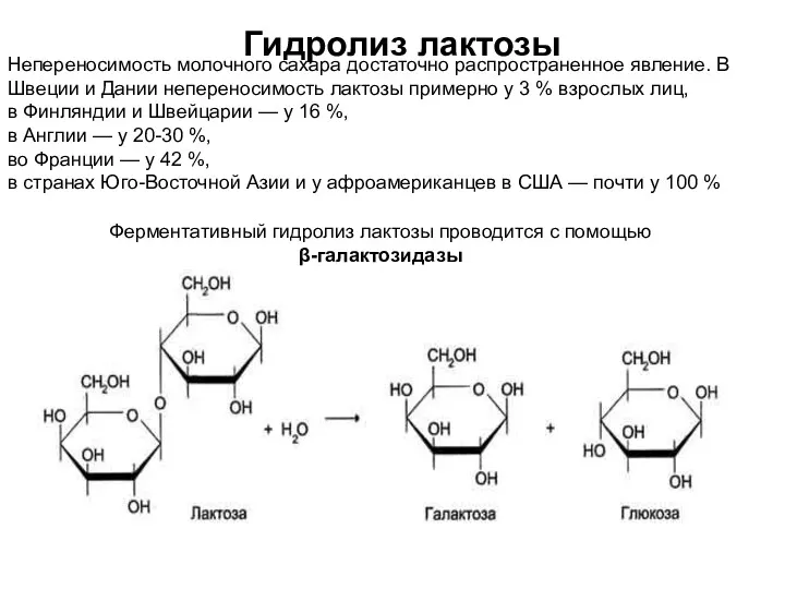 Гидролиз лактозы Непереносимость молочного сахара достаточно распространенное явление. В Швеции