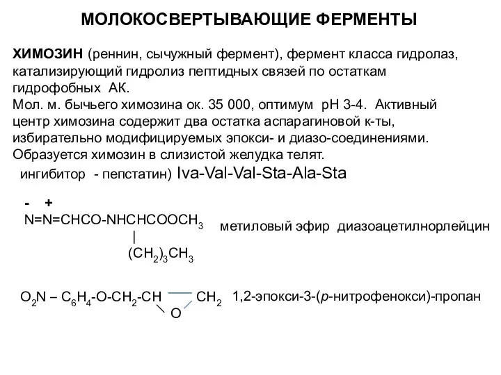 МОЛОКОСВЕРТЫВАЮЩИЕ ФЕРМЕНТЫ ХИМОЗИН (реннин, сычужный фермент), фермент класса гидролаз, катализирующий гидролиз пептидных связей