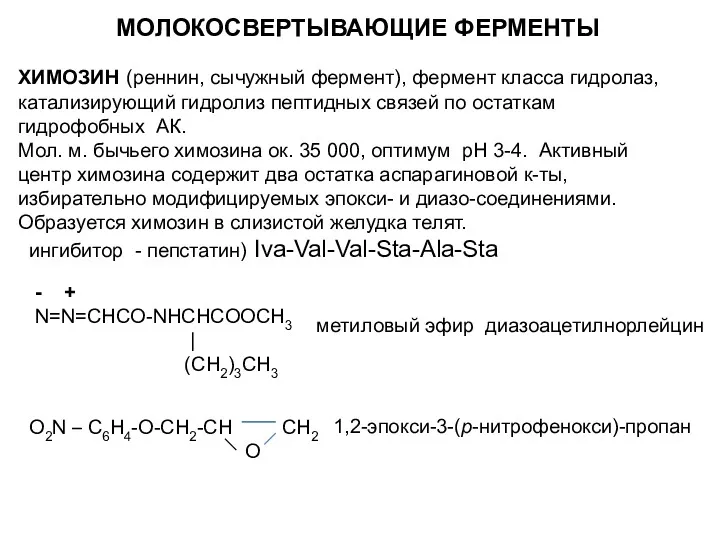 МОЛОКОСВЕРТЫВАЮЩИЕ ФЕРМЕНТЫ ХИМОЗИН (реннин, сычужный фермент), фермент класса гидролаз, катализирующий