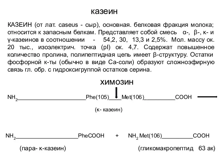 казеин КАЗЕИН (от лат. caseus - сыр), основная. белковая фракция молока; относится к