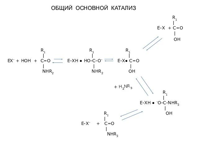 ОБЩИЙ ОСНОВНОЙ КАТАЛИЗ R1 R1 R1 | | | EX- + НОН +