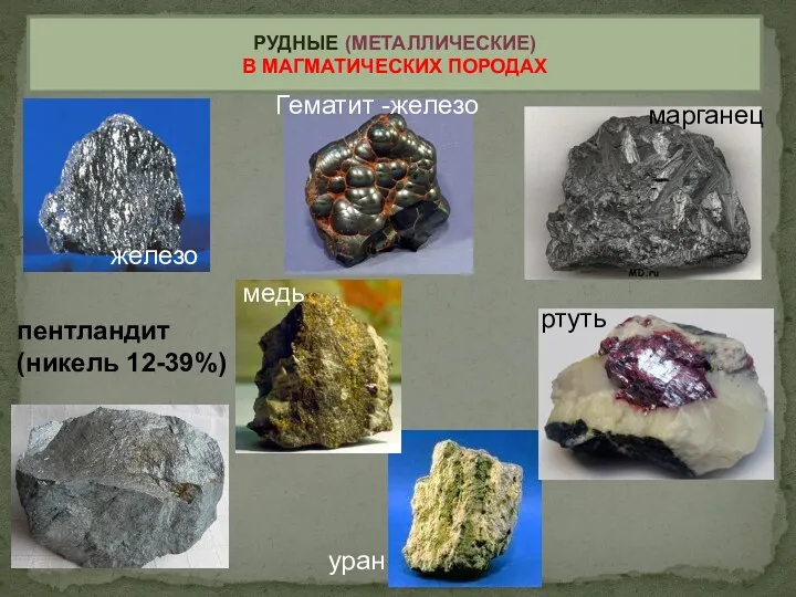 РУДНЫЕ (МЕТАЛЛИЧЕСКИЕ) В МАГМАТИЧЕСКИХ ПОРОДАХ железо медь ртуть марганец пентландит (никель 12-39%) Гематит -железо уран