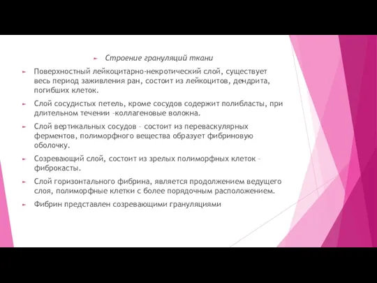 Строение грануляций ткани Поверхностный лейкоцитарно-некротический слой, существует весь период заживления