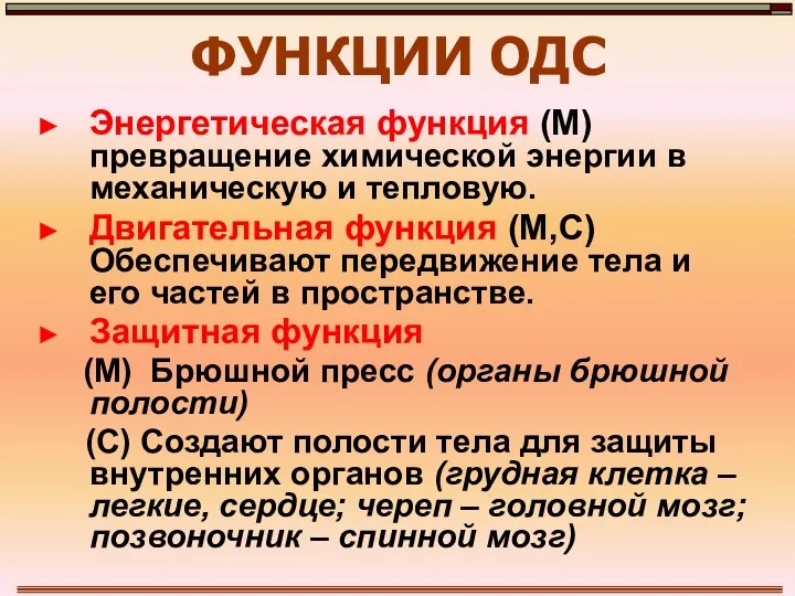 ФУНКЦИИ ОДС Энергетическая функция (М) превращение химической энергии в механическую