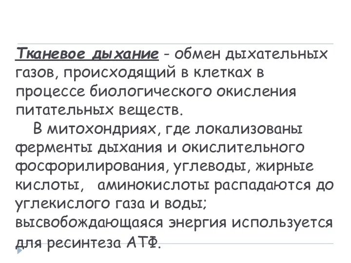 Тканевое дыхание - обмен дыхательных газов, происходящий в клетках в