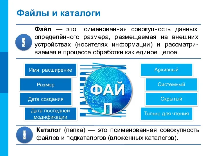 Файлы и каталоги Файл — это поименованная совокупность данных определённого