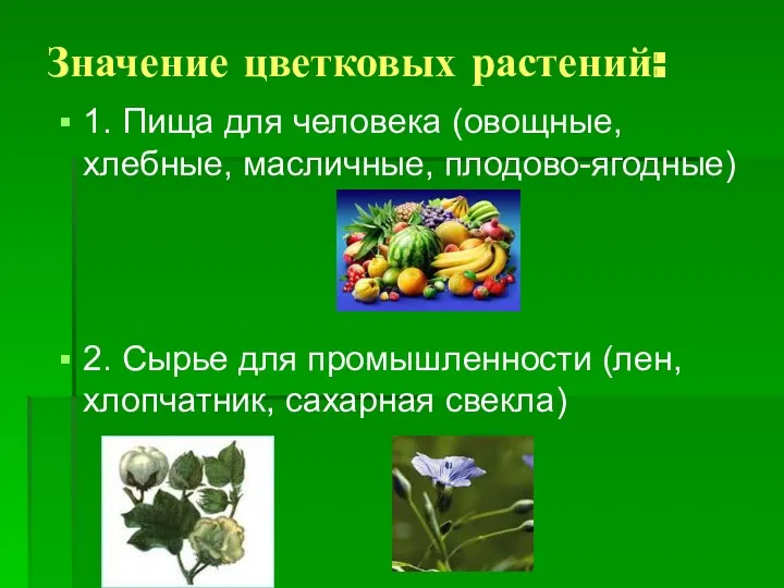Значение цветковых растений: 1. Пища для человека (овощные, хлебные, масличные, плодово-ягодные) 2. Сырье