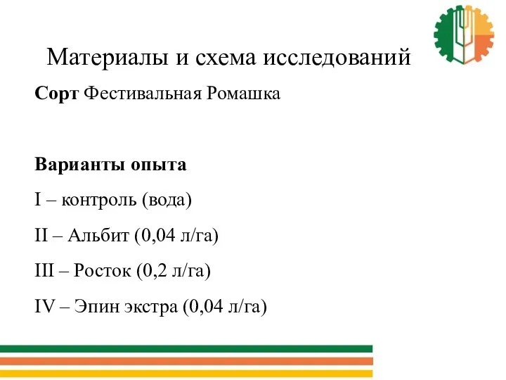 Сорт Фестивальная Ромашка Варианты опыта I – контроль (вода) II