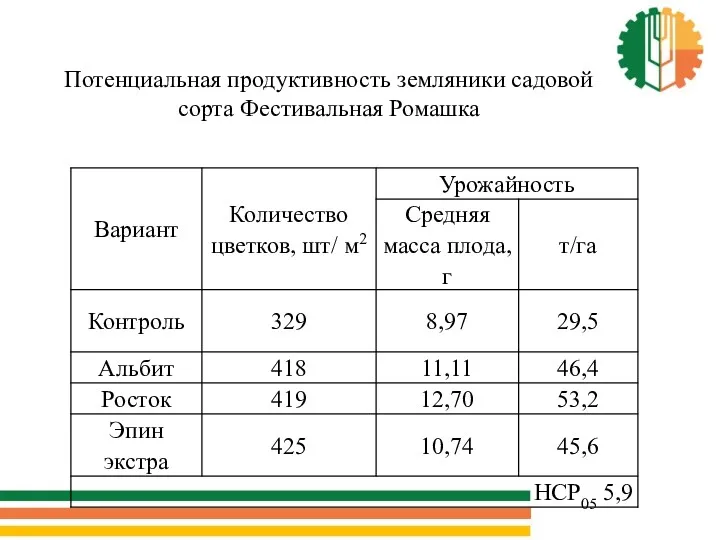 Потенциальная продуктивность земляники садовой сорта Фестивальная Ромашка