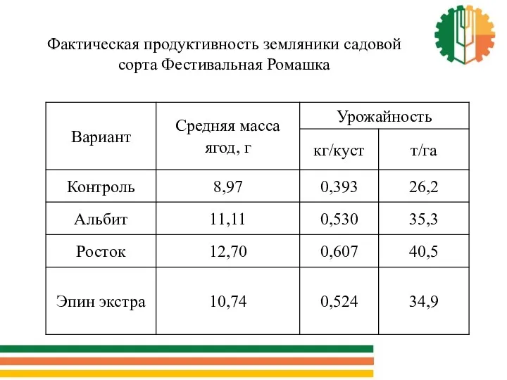 Фактическая продуктивность земляники садовой сорта Фестивальная Ромашка