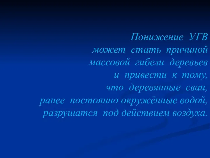 Понижение УГВ может стать причиной массовой гибели деревьев и привести к тому, что