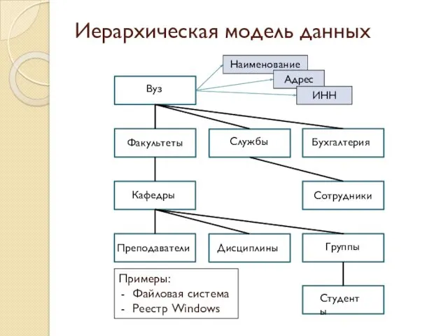 Иерархическая модель данных Вуз Факультеты Бухгалтерия Сотрудники Студенты Группы Кафедры