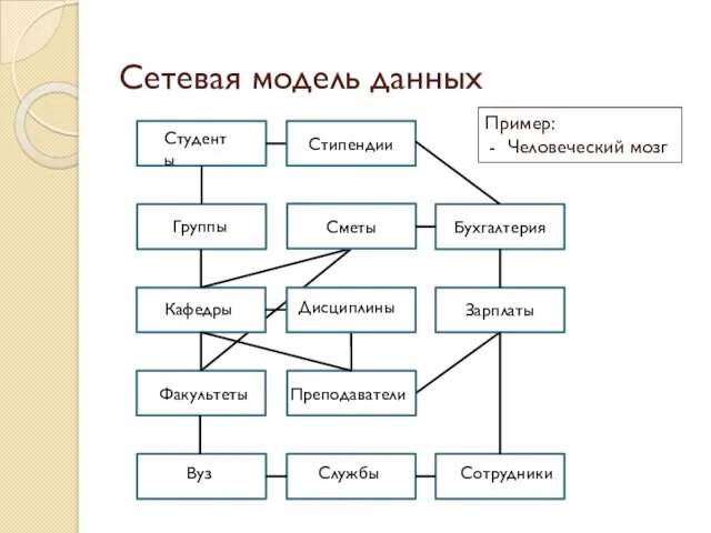 Сетевая модель данных Факультеты Сотрудники Студенты Группы Кафедры Преподаватели Службы