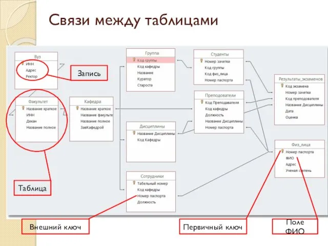 Связи между таблицами Первичный ключ Поле ФИО Внешний ключ Таблица Запись