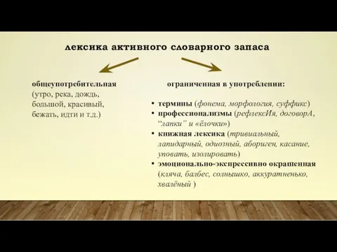 лексика активного словарного запаса общеупотребительная (утро, река, дождь, большой, красивый,