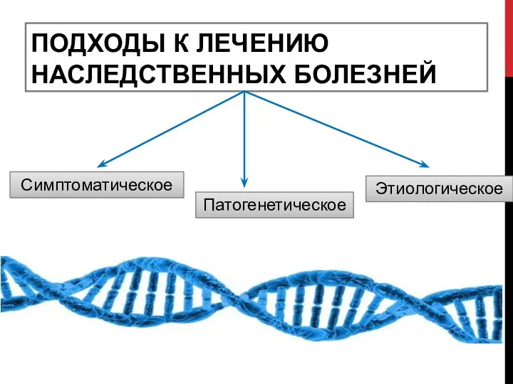 ПОДХОДЫ К ЛЕЧЕНИЮ НАСЛЕДСТВЕННЫХ БОЛЕЗНЕЙ Симптоматическое Этиологическое Патогенетическое