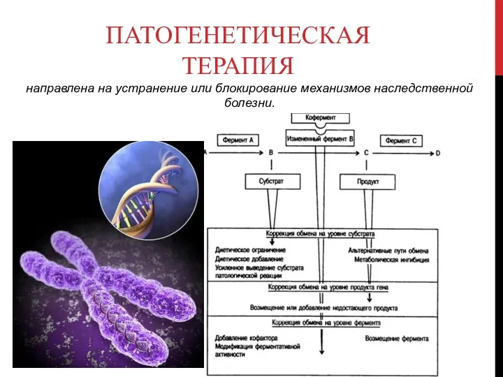 ПАТОГЕНЕТИЧЕСКАЯ ТЕРАПИЯ направлена на устранение или блокирование механизмов наследственной болезни.