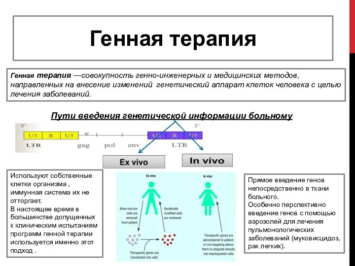 Генная терапия Генная терапия —совокупность генно-инженерных и медицинских методов, направленных