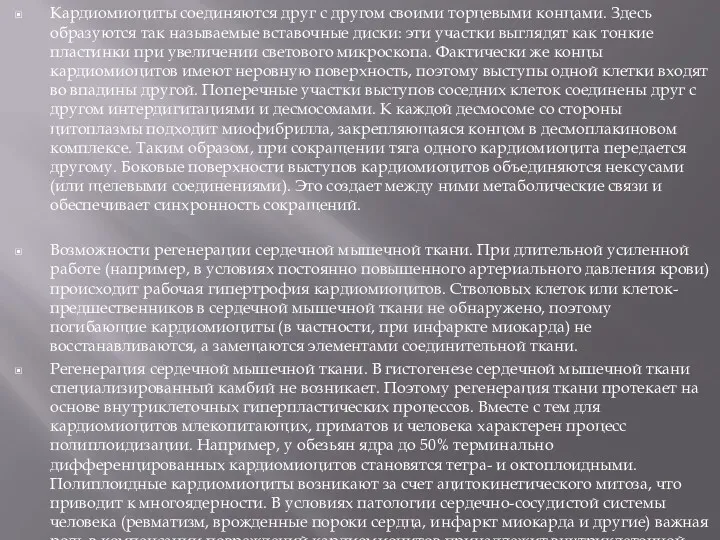 Кардиомиоциты соединяются друг с другом своими торцевыми концами. Здесь образуются