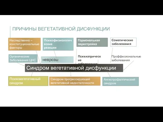 ПРИЧИНЫ ВЕГЕТАТИВНОЙ ДИСФУНКЦИИ Наследтвенно –конституциональные факторы Психофизиологические реакции Гормональная перестройка