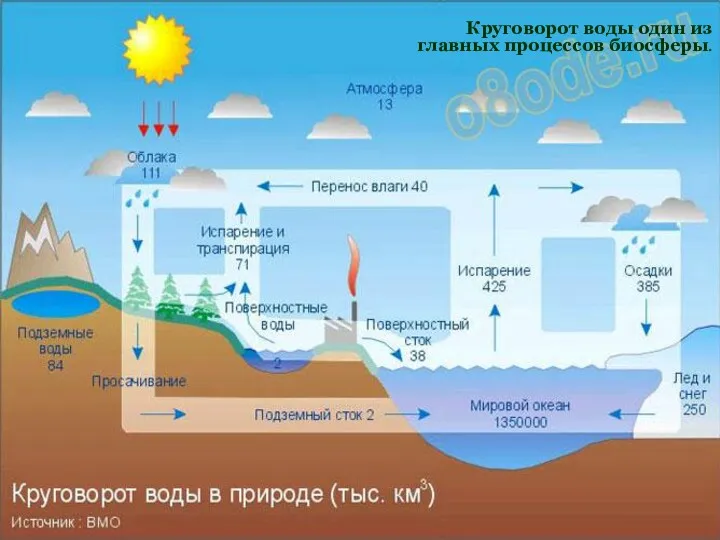 Круговорот воды один из главных процессов биосферы.