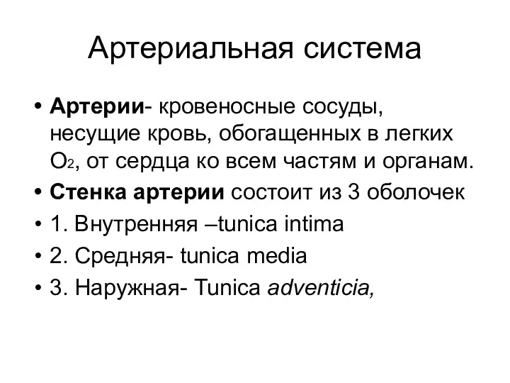 Артериальная система Артерии- кровеносные сосуды, несущие кровь, обогащенных в легких