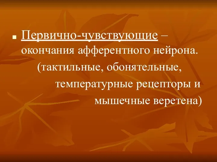 Первично-чувствующие – окончания афферентного нейрона. (тактильные, обонятельные, температурные рецепторы и мышечные веретена)