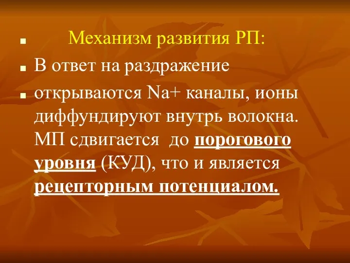 Механизм развития РП: В ответ на раздражение открываются Na+ каналы, ионы диффундируют внутрь