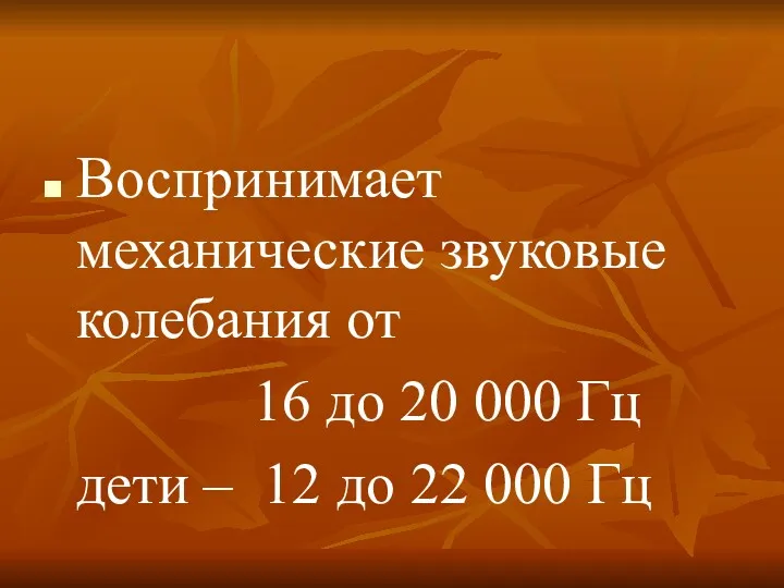 Воспринимает механические звуковые колебания от 16 до 20 000 Гц дети – 12