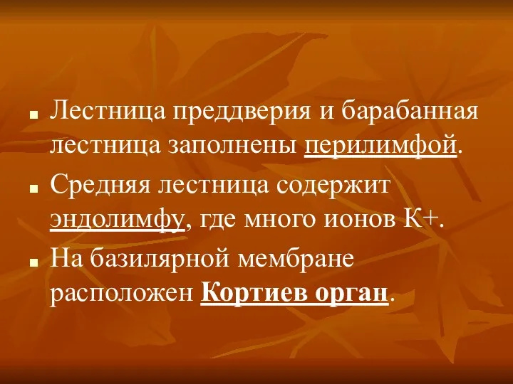 Лестница преддверия и барабанная лестница заполнены перилимфой. Средняя лестница содержит эндолимфу, где много