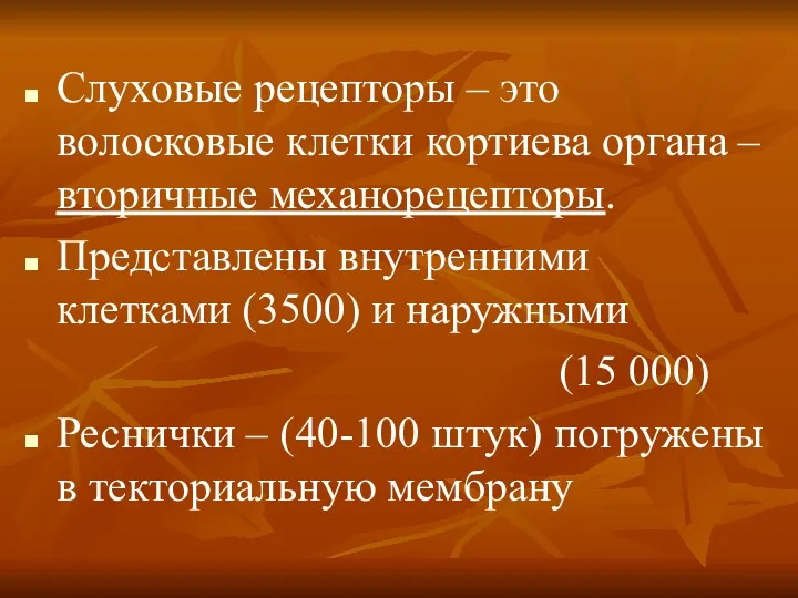 Слуховые рецепторы – это волосковые клетки кортиева органа – вторичные механорецепторы. Представлены внутренними