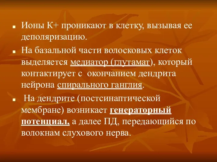 Ионы К+ проникают в клетку, вызывая ее деполяризацию. На базальной части волосковых клеток