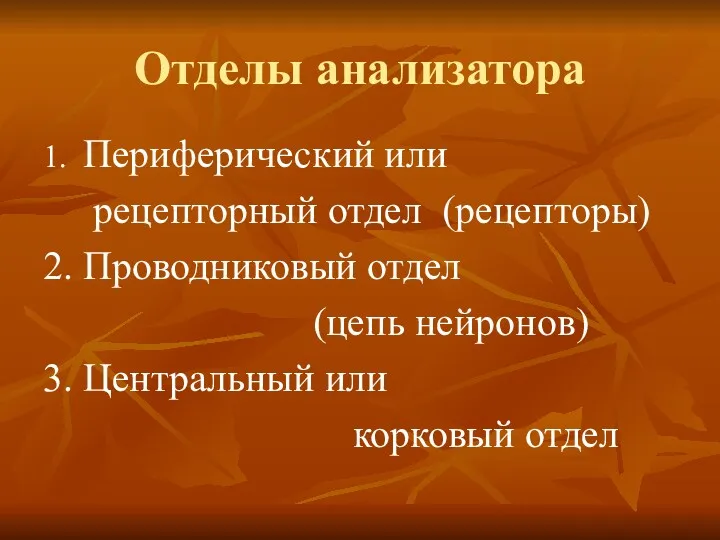 Отделы анализатора 1. Периферический или рецепторный отдел (рецепторы) 2. Проводниковый отдел (цепь нейронов)