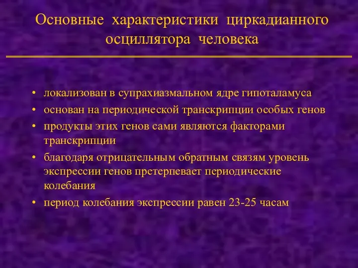 Основные характеристики циркадианного осциллятора человека локализован в супрахиазмальном ядре гипоталамуса