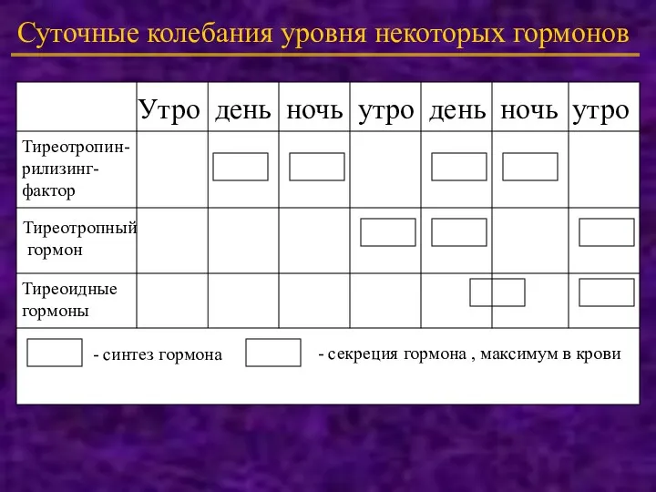 Суточные колебания уровня некоторых гормонов Утро день ночь утро день