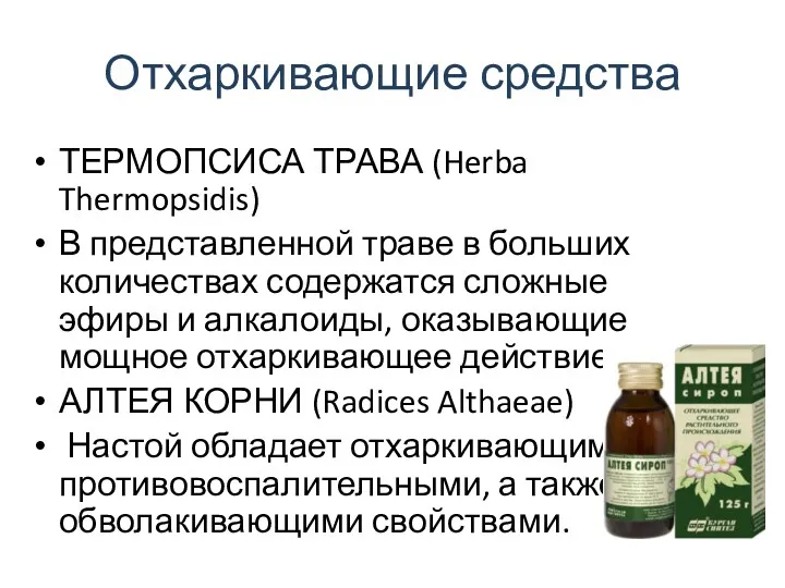 Отхаркивающие средства ТЕРМОПСИСА ТРАВА (Herba Thermopsidis) В представленной траве в