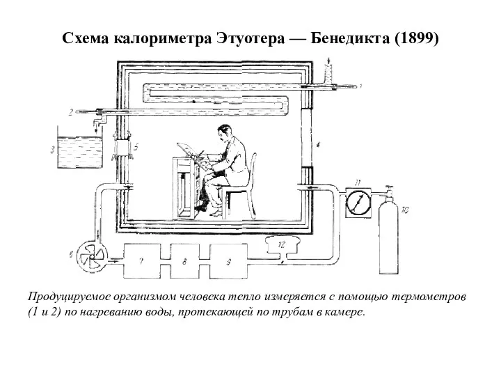 Схема калориметра Этуотера — Бенедикта (1899) Продуцируемое организмом человека тепло измеряется с помощью
