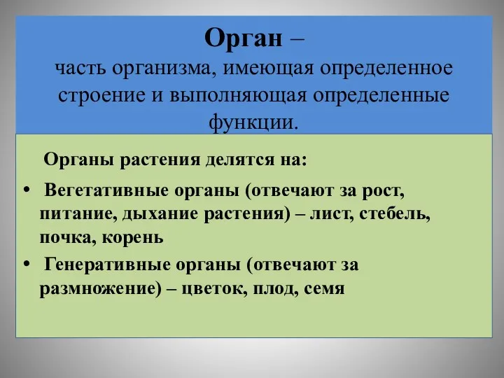 Орган – часть организма, имеющая определенное строение и выполняющая определенные