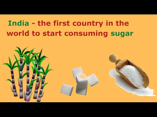 India - the first country in the world to start consuming sugar