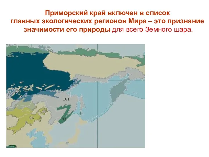 Приморский край включен в список главных экологических регионов Мира – это признание значимости