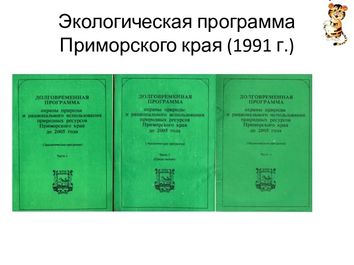 Экологическая программа Приморского края (1991 г.)